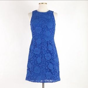 J. Crew Royal Blue Floral Lace Shift Dress